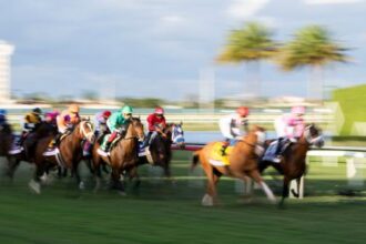 2026 Pegasus World Cup Turf Invitational Stakes Overview