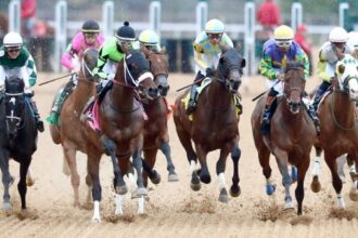 2026 Southwest Stakes Overview