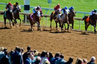 8 New Year's Resolutions for 2026 for Horse Racing Fans