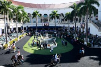 ABR Sunday Selection: Full Card Picks January 18th at Gulfstream Park