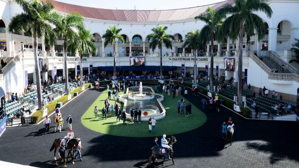 ABR Sunday Selection: Full Card Picks January 18th at Gulfstream Park