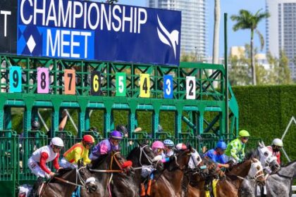 ABR Sunday Selection: Full Card Picks for February 1st at Gulfstream Park