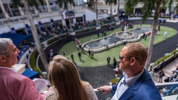 ABR Trifecta selected for 2026 Pegasus World Cup