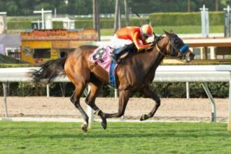 Bafferts Brilliantly is an early favorite of La Cañada