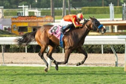 Bafferts Brilliantly is an early favorite of La Cañada