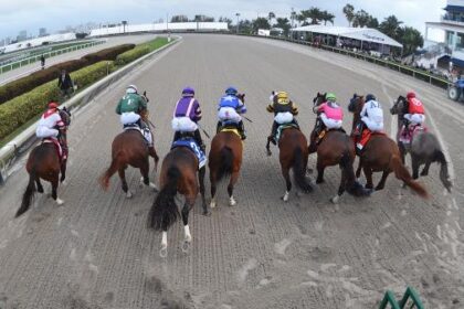 Bravalo the value play undefeated in Holy Bull S