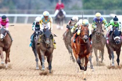 Brilliant Strategic Risks with Smarty Jones Explosions