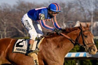 Brown set Paladin on Risen Star, and the other two set Wizards.