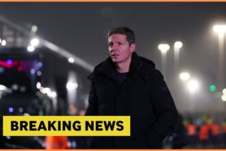 Crystal Palace breaking news