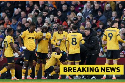 'We have a plan': club chief hints at possible move for Wolves star