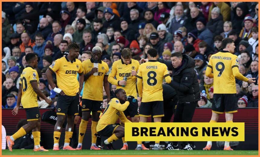 'We have a plan': club chief hints at possible move for Wolves star