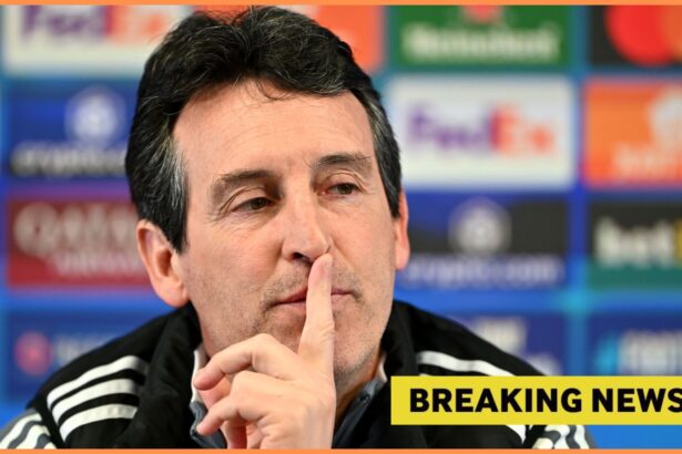 Unai Emery during a press conference