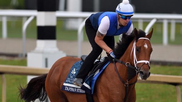 Can Tappan Street repeat the Florida Derby at the 2026 Pegasus World Cup?