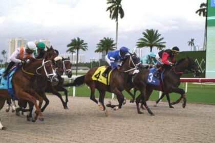 Catch up with Friday's fastest winners