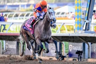 Champion Ted Nophy leaves the Kentucky Derby trail with injury and could return in summer