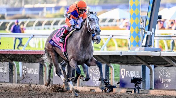 Champion Ted Nophy leaves the Kentucky Derby trail with injury and could return in summer