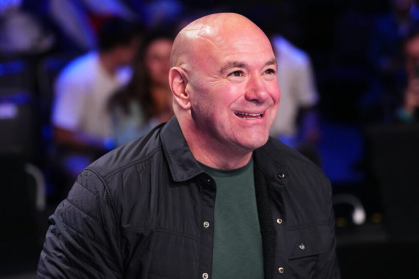 UFC CEO Dana White watches fight