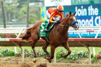 Desert Gate leads major prize winners on tab