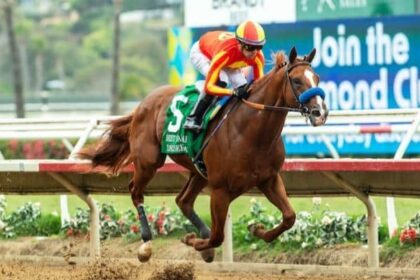 Desert Gate leads major prize winners on tab