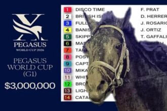 Draws, jockeys and odds for $3 million race