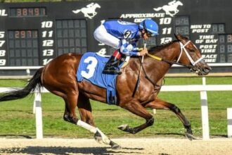Drexel Hill and Tessellate win stakes