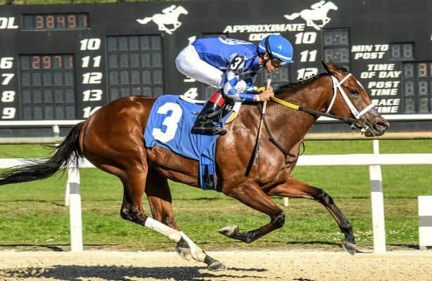Drexel Hill and Tessellate win stakes