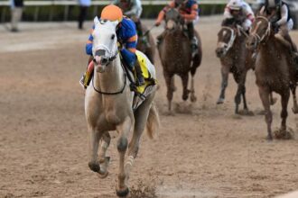 Early consideration of potential sites for the 2026 Pegasus World Cup