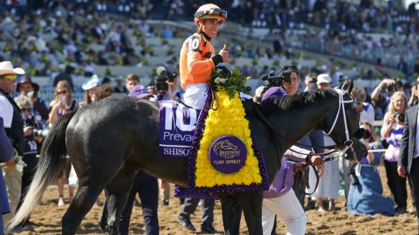 Equibase Leader: Godolphin, Ortiz Jr.'s Record Earnings Highlights 2025