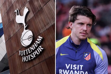 Split image of Tottenham badge and Conor Gallagher