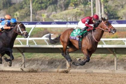 Forever Young will face off against six U.S. rivals for back-to-back titles