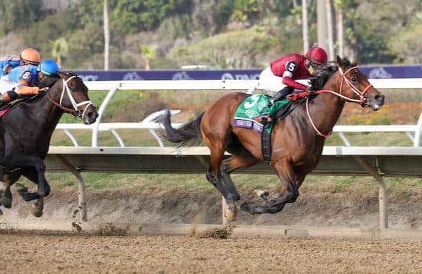 Forever Young will face off against six U.S. rivals for back-to-back titles