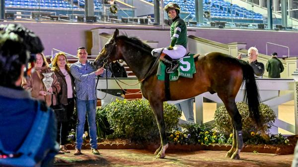 Golden Tempo moves up Equibase rankings with Leconte Stakes score