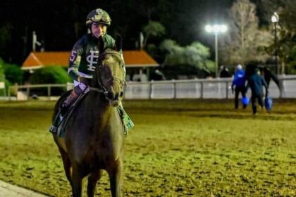 Golden Tempo participates