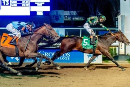 Golden Tempo takes off and acquires Lecomte