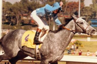 How one princess rose to the top of the sport of kings: Princess Rooney