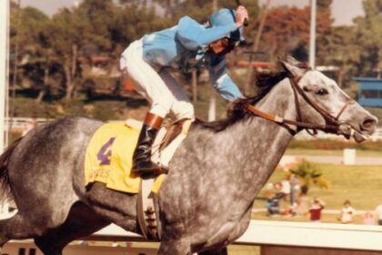 How one princess rose to the top of the sport of kings: Princess Rooney