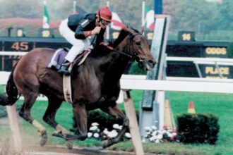 Inside information: Hall of Fame racehorses with the sparkle you need at the push of a button