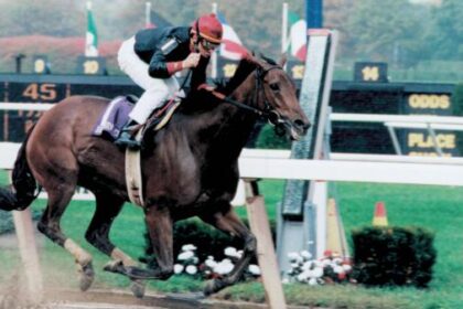 Inside information: Hall of Fame racehorses with the sparkle you need at the push of a button