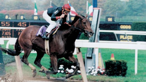 Inside information: Hall of Fame racehorses with the sparkle you need at the push of a button