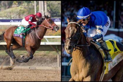 Introducing the finalists for the 2025 Resolute Racing Eclipse Awards