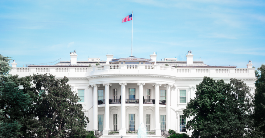 Jon Anik reveals UFC's White House megacard could include 6-7 title fight