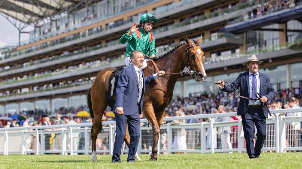 Karandagan named 2025 World's Best Racehorse, Eternal Youth and Sovereignty tied for 2nd place in group