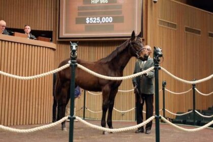 Keeneland January sale hits highest since 2008