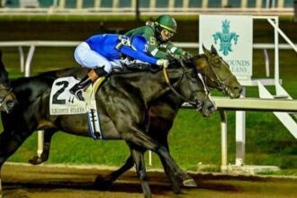 Lecomte, 2 cars in top 20