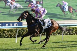 Little Paradise and Invincible Ibis win stakes
