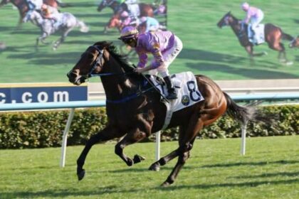 Little Paradise and Invincible Ibis win stakes