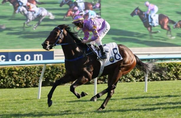 Little Paradise and Invincible Ibis win stakes