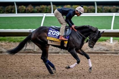 Major prize winners for Regaled leads are displayed on the tab