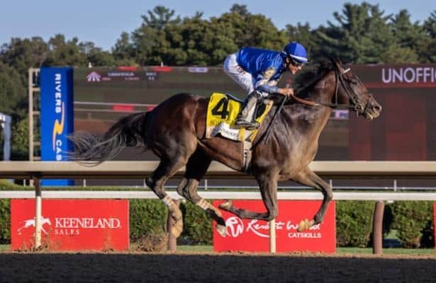 Mott says Sovereign will miss Dubai World Cup