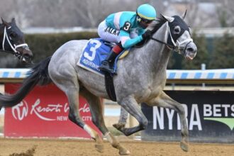 My World records Suidobashi victory in Jerome Stakes